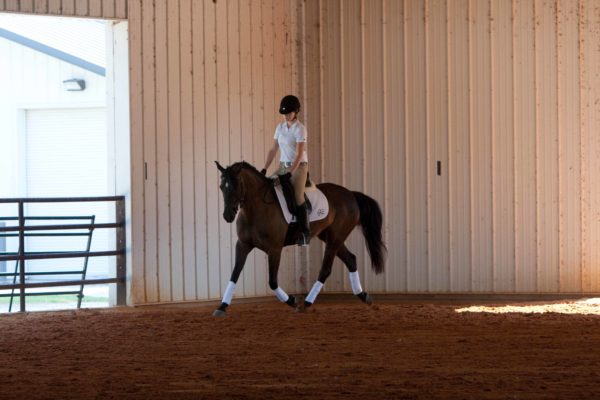 2012 Area V Young Rider Camp