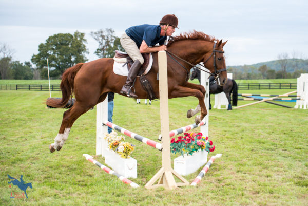 Phillip Dutton Clinic at Rutledge Farm