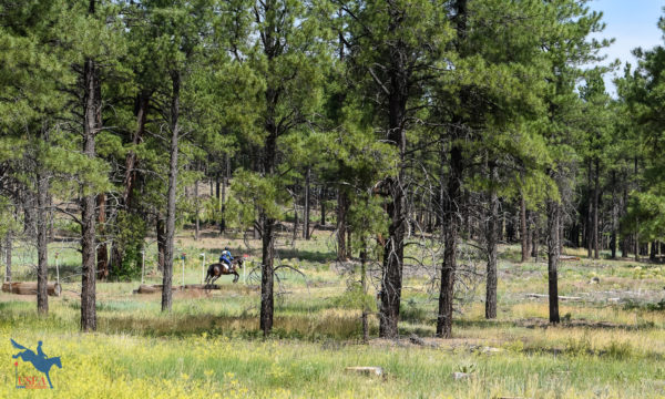 Through the Lens: Coconino Horse Trials