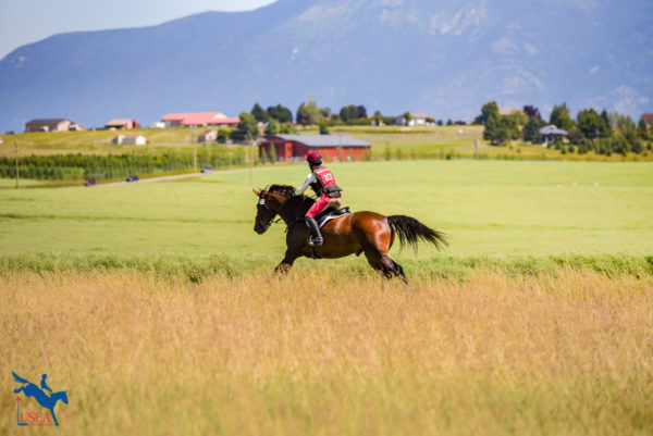 Experience the Thrill of the USEA Classic Series