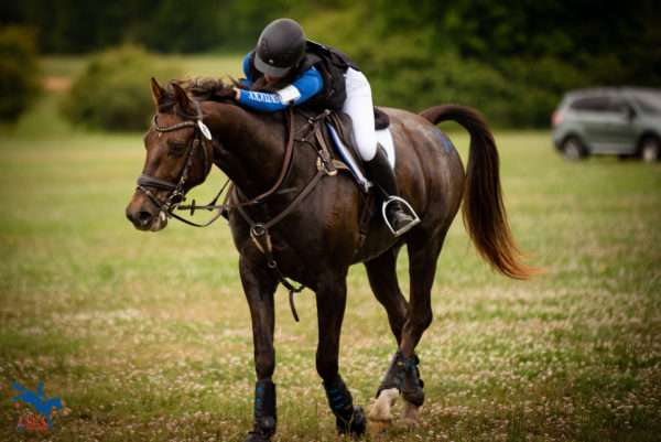 2022 USEA Intercollegiate Eventing Championships Day One