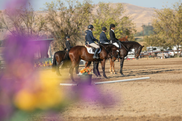 2020 USEA YEH/FEH West Coast Championships: Day 1